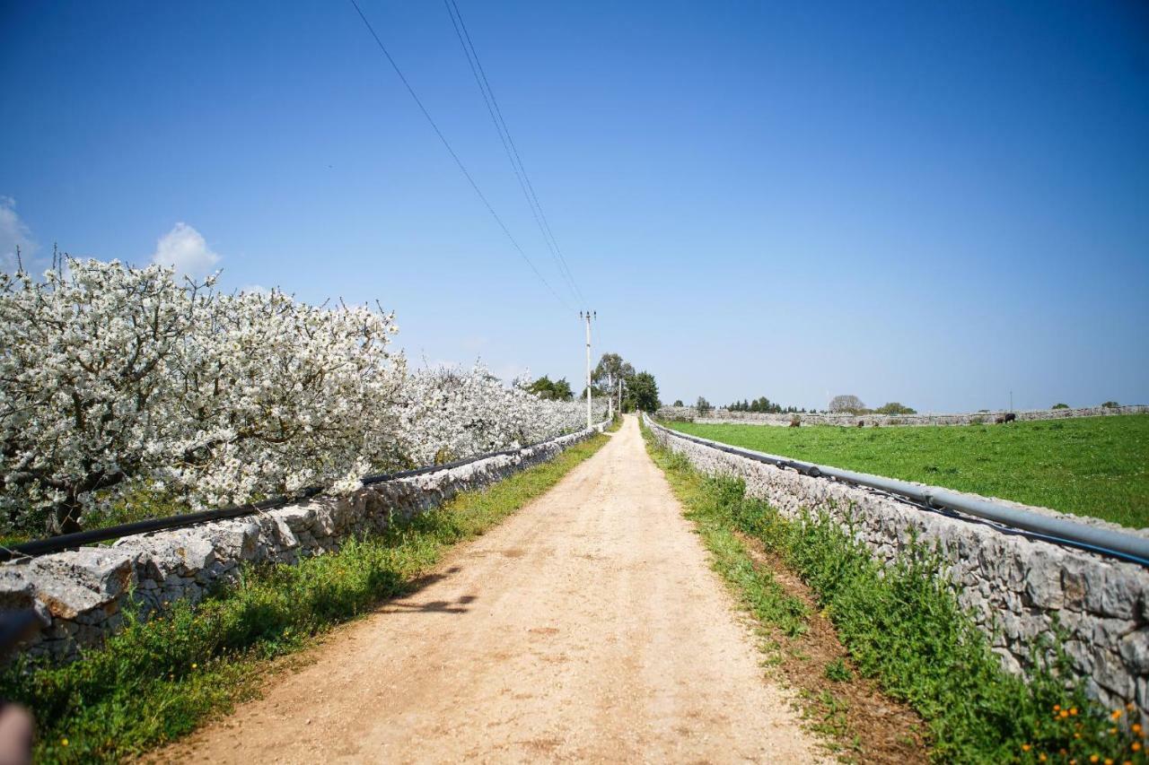 Masseria Guadiano Vecchio Santa Lucia  Luaran gambar