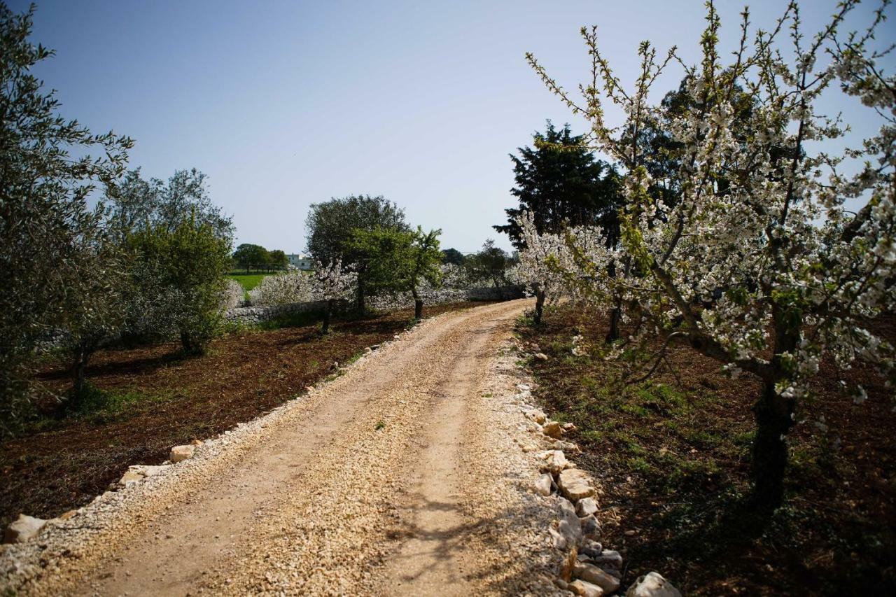 Masseria Guadiano Vecchio Santa Lucia  Luaran gambar